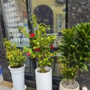 우정빨래방 이미지