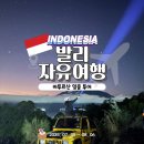 발리 여행 필수 코스 별 쏟아지는 하늘에 인생샷 남기고 오는 바투르산 일출 지프 투어 바구스 가이드 후기