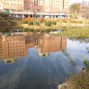 동신대학교 이미지