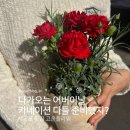 꽃꽃이 고급 | 서귀포 꽃집 고운플라워 | 어버이날 카네이션 화분 후기