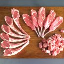 인제13-1 이미지