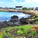 월령리(월령포구) 이미지