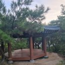 또르막 | 🏔️풍암동 금당산 등산 후기! 황새정부터 헬기장까지