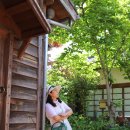 태백산맥거리 이미지