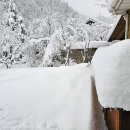 산골여행펜션