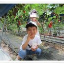 웰빙농장2 이미지