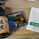 덕신동물병원 네이버블로그