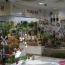 화원약국 이미지