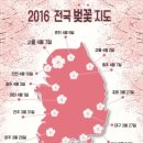 네일개화 네이버블로그