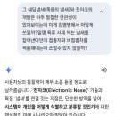 나노전자 네이버블로그