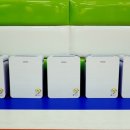 용인대 선일태권도 이미지