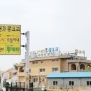 콩요리