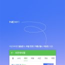 리온피티 이미지
