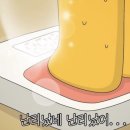 연어로만 서초점