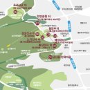 남산기억로 서울신문
