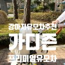 가디즌 | 강아지 유모차 추천 가디즌 프리미엄 유모차로 퐁이와 여유로운 산책 시작