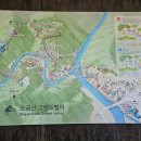 서안산정비 | 원주 소금산 출렁다리 입장료 주차장 코스 완벽 정리 직접 걸어본 리얼 후기까지