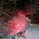 퇴촌 낭만펜션 이미지