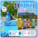 3 | 충북아쿠아리움 아이랑 다녀온 후기 입장료 정보 및 함께 괴산 갈만한 곳