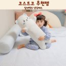 코스트코 추천템 알러텍트 냉감패드 스승의날 선물 선택
