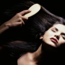 고추잠자리모텔 이미지