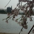 한식청명
