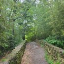 문학&생명관 이미지