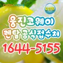 코웨이상록 이미지