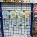 시츄언니 이미지