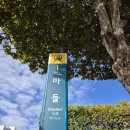 (서울근교 등산) 수락산 등산코스(마들역 코끼리 바위 수락산 정상 수락산역) 20250921 이미지