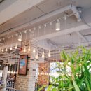 고고쓰커피 이미지