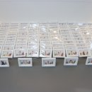 에이원 태권도장 이미지