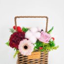 상지초교병설유치원 이미지