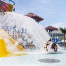 파라다이스스파도고캠핑장 이미지