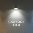 금손조명