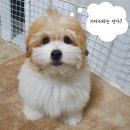 미야팜스토어