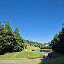 이글 골프존 이미지