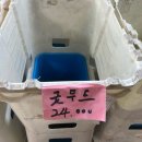 화훼단지앞버스정류장_R | 1월/ 평택 옥상파티 (겨울ver.)- 상추 탕후루를 드셔보셨나요?