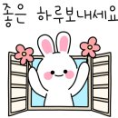 속초롯데캐슬공인중개사사무소 이미지