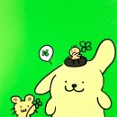 밀성여자중학교 이미지