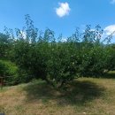 삼랑진한의원 이미지