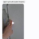 GNI | [고양시 덕양구] 도배공작소 도배시공 내돈내산 후기: 개나리 프리모 벽지로 33평 아파트 화사하게 변신...