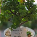 폴브레드 - 금천구 시흥대로104길 29 | 폴브레드