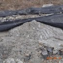 (주)정선레미콘 이미지