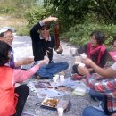 용기네 농장 이미지