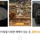 합천 씨파크 이미지