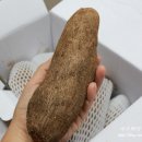 미인건강농장 이미지