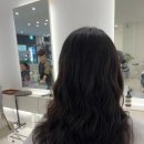 노트헤어
