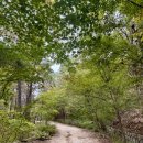 우이령 | 북한산우이령길예약단풍구경10월26일