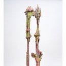 쌍봉축산 이미지